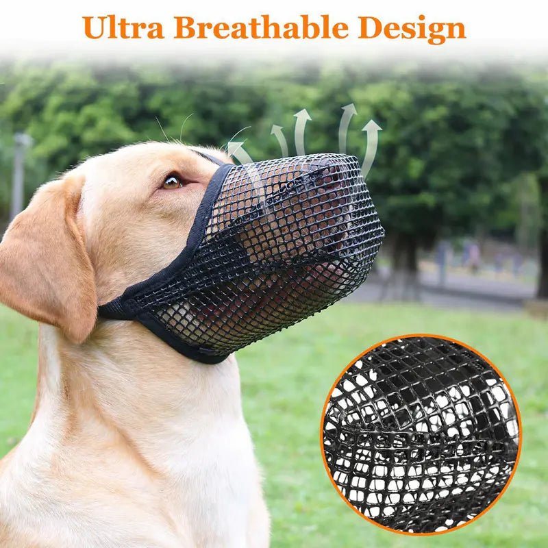 Chic Dog Safety Mask - LiviNova