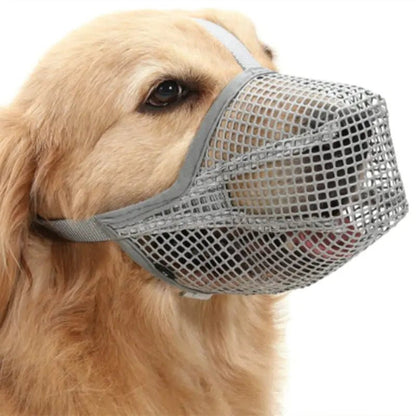 Chic Dog Safety Mask - LiviNova