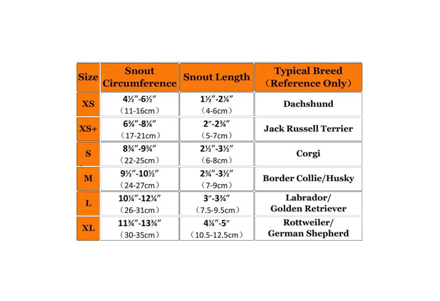 Chic Dog Safety Mask - LiviNova