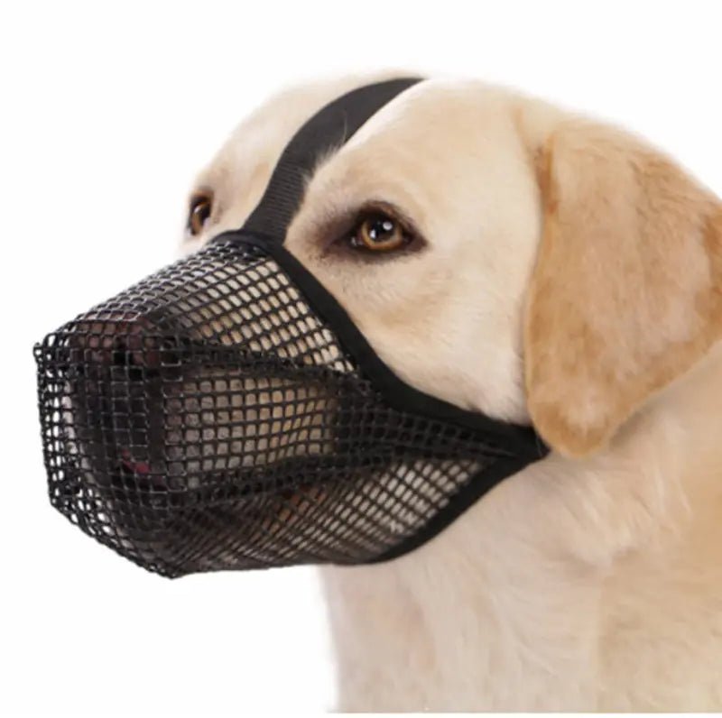 Chic Dog Safety Mask - LiviNova