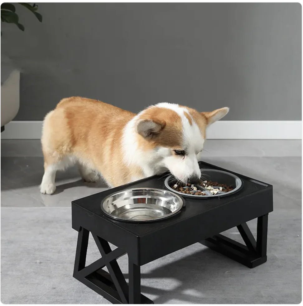 Elevate & Pace Dog Feeder - LiviNova